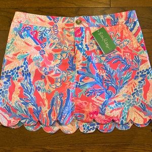 NWT! Lilly Pulitzer Colette Skort in Aquadesiac Size 4, Brand New!